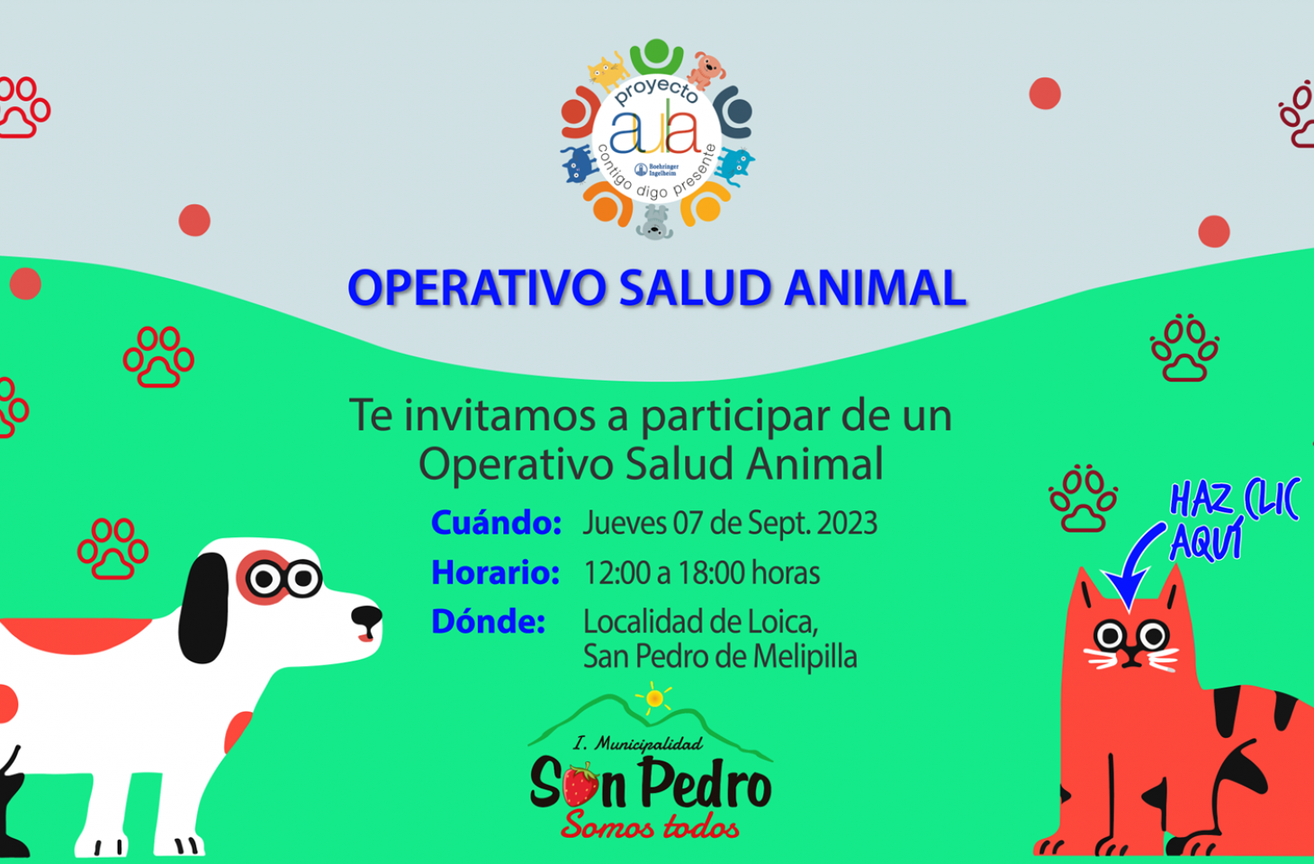 Operativo Salud Animal